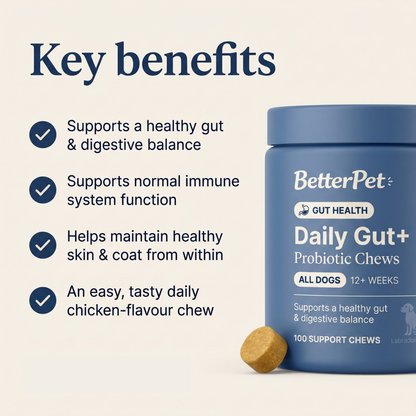 BetterPet Daily Gut+ Probiotic Chews