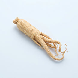 Panax Ginseng Root