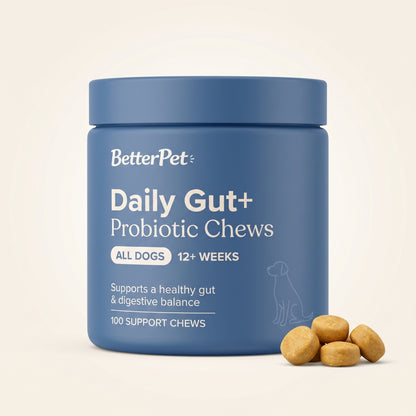 BetterPet Daily Gut+ Probiotic Chews