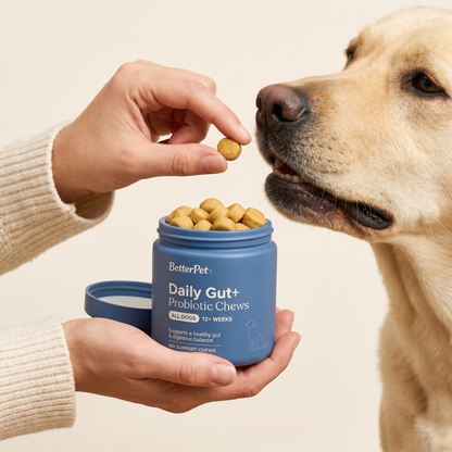 BetterPet Daily Gut+ Probiotic Chews